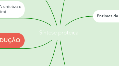 Mind Map: Síntese proteica