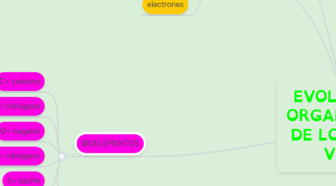 Mind Map: EVOLUCIÓN Y ORGANIZACIÓN DE LOS SERES VIVOS