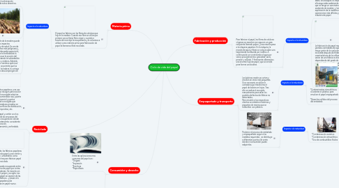 Mind Map: Ciclo de vida del papel