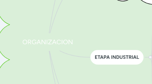 Mind Map: ORGANIZACION