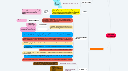 Mind Map: PROCESOS COGNOSCITIVOS