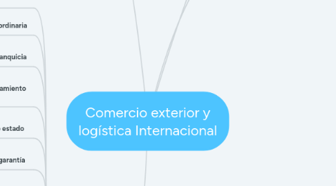 Mind Map: Comercio exterior y logística Internacional