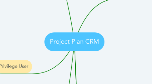 Mind Map: Project Plan CRM