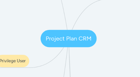 Mind Map: Project Plan CRM