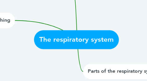 Mind Map: The respiratory system