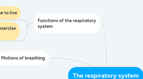 Mind Map: The respiratory system