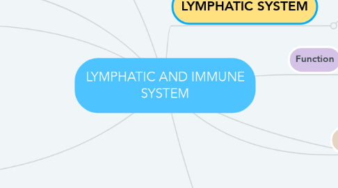 Mind Map: LYMPHATIC AND IMMUNE SYSTEM