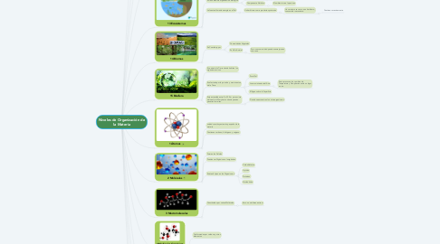 Mind Map: Niveles de Organización de la Materia