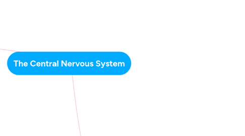 Mind Map: The Central Nervous System