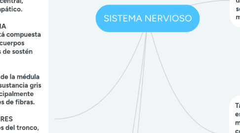 Mind Map: SISTEMA NERVIOSO