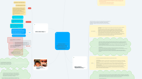 Mind Map: AGRESIONES AMBIENTALES POR INFECCIONES A LA EMBARAZADA