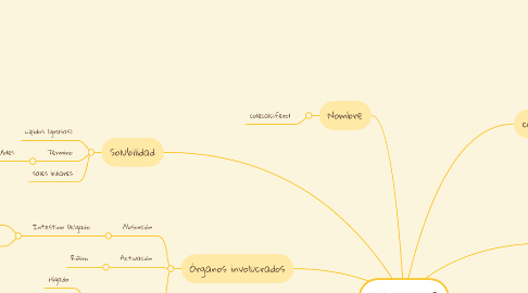 Mind Map: Vitamina D