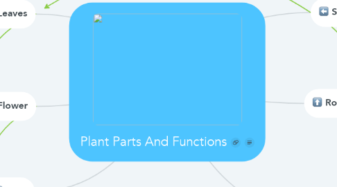 Mind Map: Plant Parts And Functions