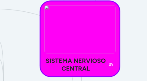 Mind Map: SISTEMA NERVIOSO CENTRAL