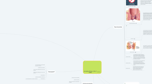 Mind Map: Anomalías del ano, recto y pieles.