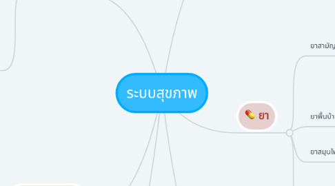 Mind Map: ระบบสุขภาพ