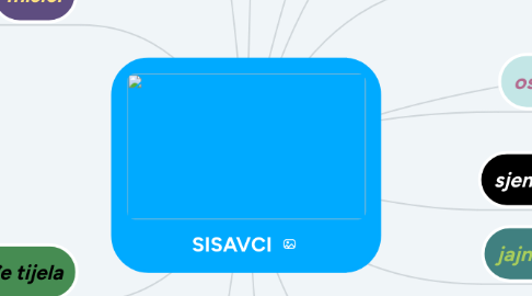 Mind Map: SISAVCI