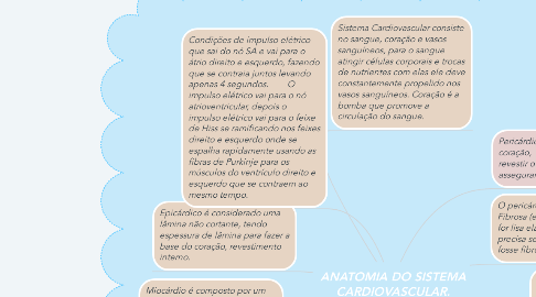 Mind Map: ANATOMIA DO SISTEMA CARDIOVASCULAR.