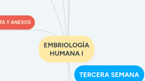 Mind Map: EMBRIOLOGÌA HUMANA I