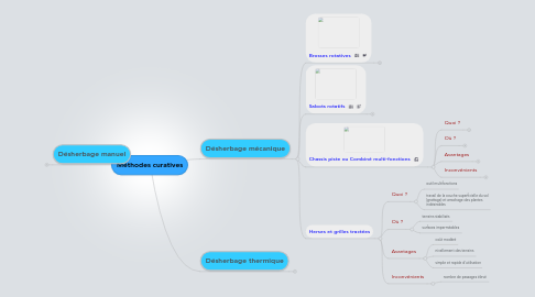 Mind Map: Méthodes curatives