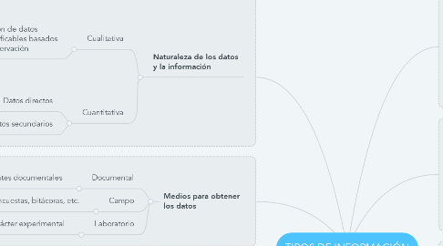 Mind Map: TIPOS DE INFORMACIÓN