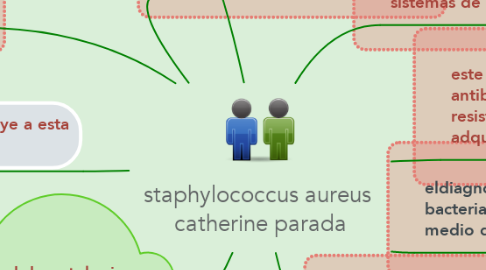 Mind Map: staphylococcus aureus  catherine parada