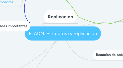 Mind Map: El ADN: Estructura y replicacion