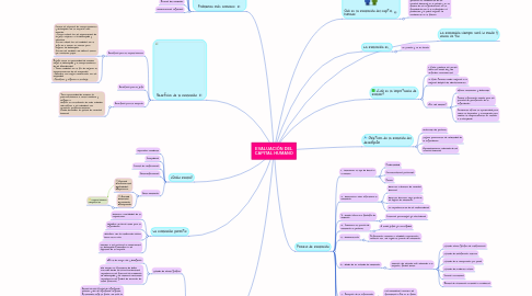 Mind Map: EVALUACIÓN DEL CAPITAL HUMANO