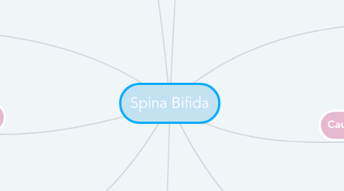 Mind Map: Spina Bifida