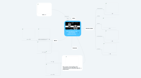 Mind Map: ATLAS BÁSICO DE ANATOMÍA RADIOLÓGICA.