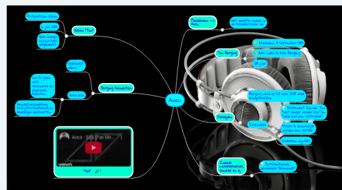 Mind Map: Avicci