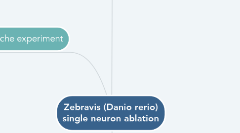 Mind Map: Zebravis (Danio rerio) single neuron ablation