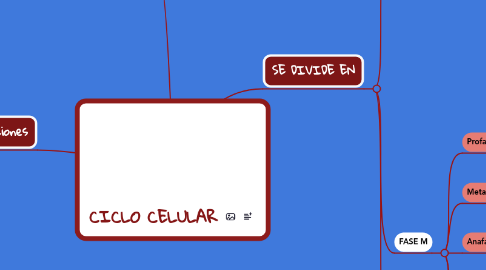 Mind Map: CICLO CELULAR