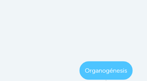 Mind Map: Organogénesis