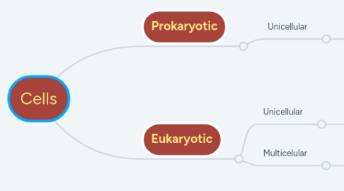 Mind Map: Cells