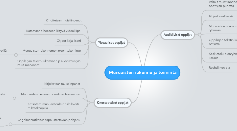 Mind Map: Munuaisten rakenne ja toiminta