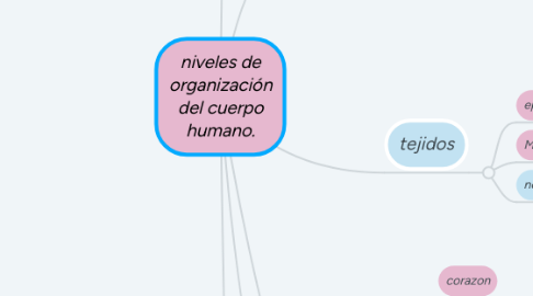 Mind Map: niveles de organización del cuerpo humano.