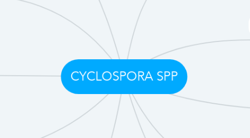 Mind Map: CYCLOSPORA SPP