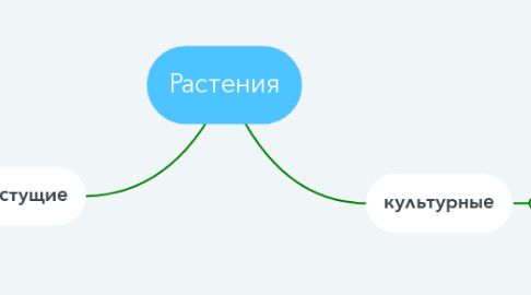 Mind Map: Растения