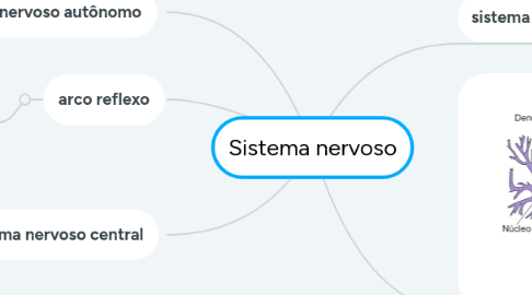 Mind Map: Sistema nervoso