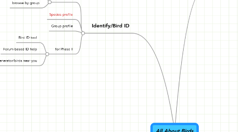 Mind Map: All About Birds