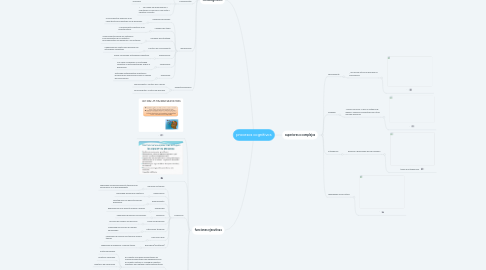 Mind Map: procesos cognitivos