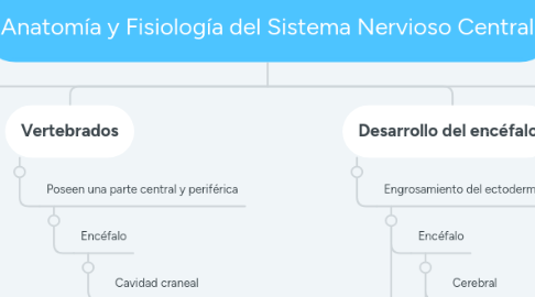 Mind Map: Anatomía y Fisiología del Sistema Nervioso Central