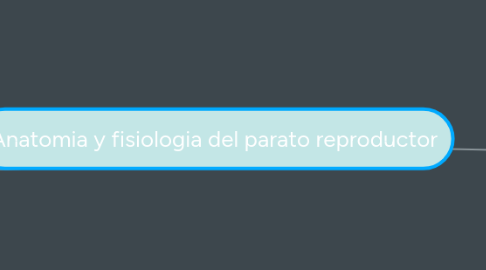 Mind Map: Anatomia y fisiologia del parato reproductor