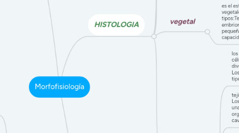 Mind Map: Morfofisiología