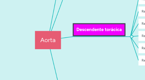 Mind Map: Aorta