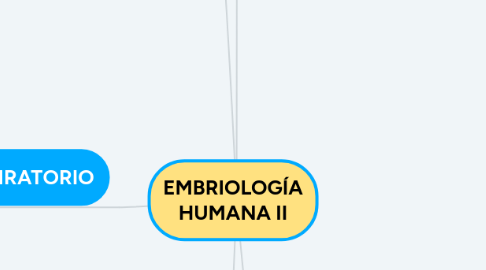 Mind Map: EMBRIOLOGÍA HUMANA II