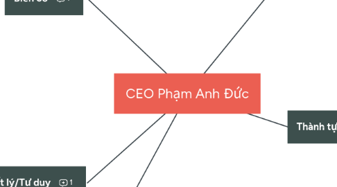 Mind Map: CEO Phạm Anh Đức