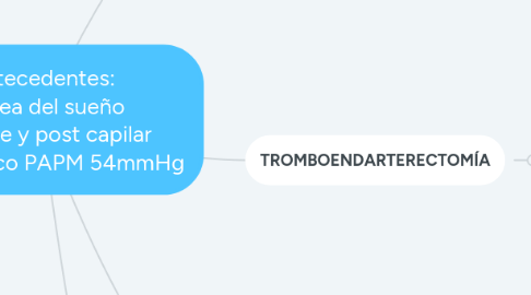 Mind Map: Antecedentes: Apnea del sueño HTP pre y post capilar TEP crónico PAPM 54mmHg