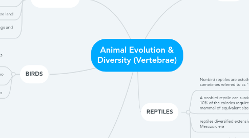 Mind Map: Animal Evolution & Diversity (Vertebrae)